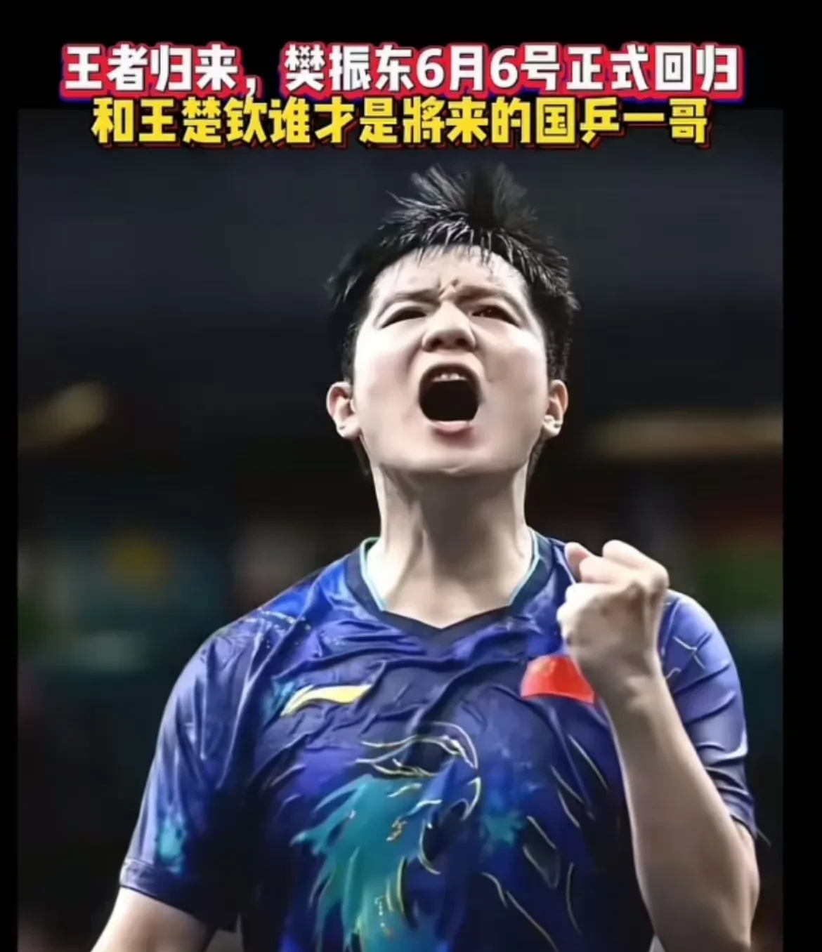 爱游戏2026-瑞典队完胜日本队，许昕高光表现